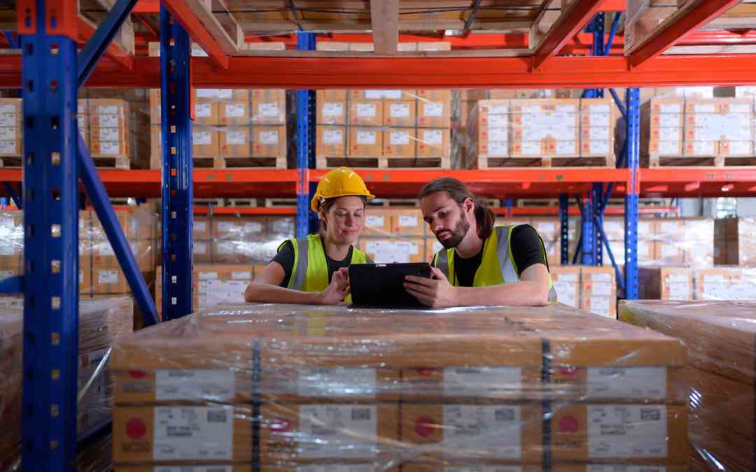 Warehouse Management (WMS) - Repubblica di San Marino