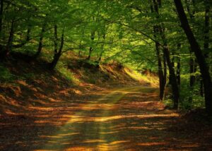 Software Gestione Qualità - NTS Informatica Partner